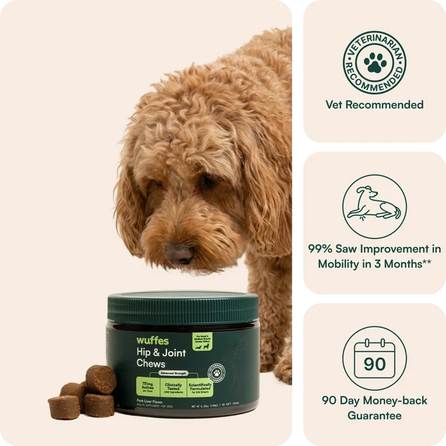 Wuffes Hip & Joint Chews – Small & Medium Dogs (60ct)
