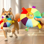 Colorful Squeaky Plush Disc Dog Toys for All Breeds – 2 Pack