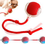 360 Smart Self Rolling Pet Ball – Automatic Interactive Toy for Dogs and Cats