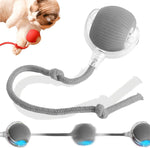 360 Smart Self Rolling Pet Ball – Automatic Interactive Toy for Dogs and Cats