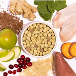 Spot & Tango unKibble Fresh Dog Food