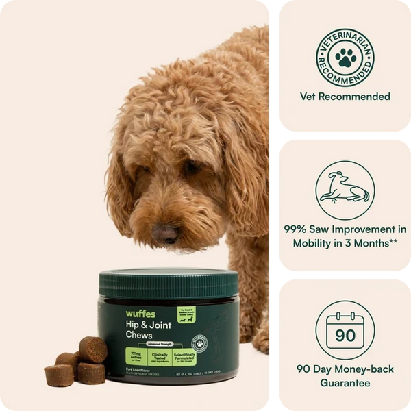 Wuffes Hip & Joint Chews – Small & Medium Dogs (60ct)