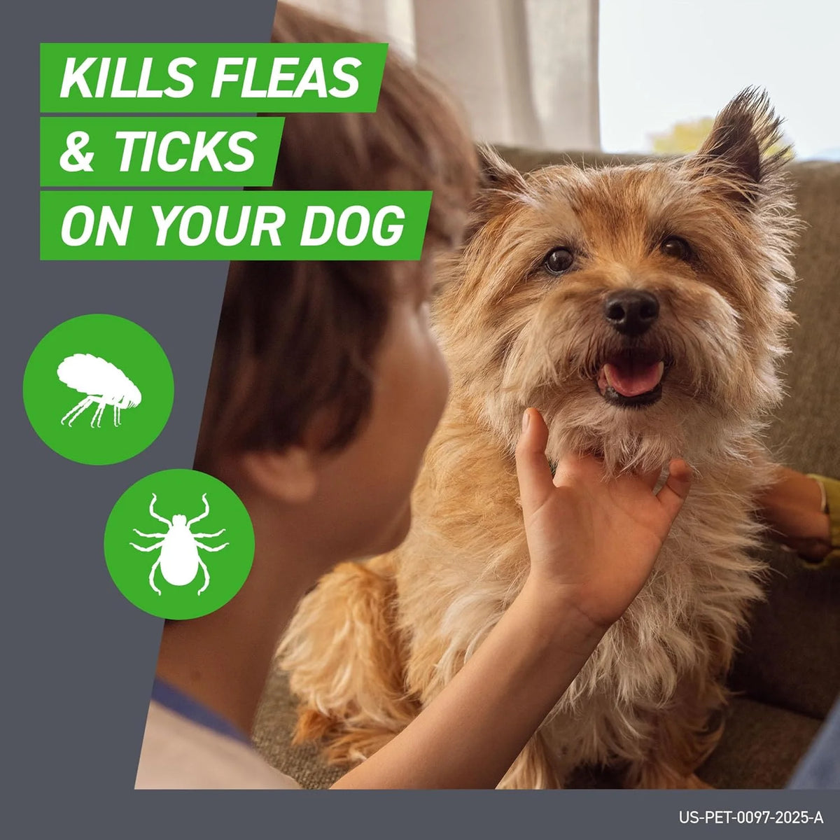 Frontline Plus for Small Dogs 5-22 lbs – Flea & Tick Treatment