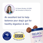 PetLab Co. Probiotic Chew+ for Dogs – Pork Flavor Digestive Support, 30 Chews