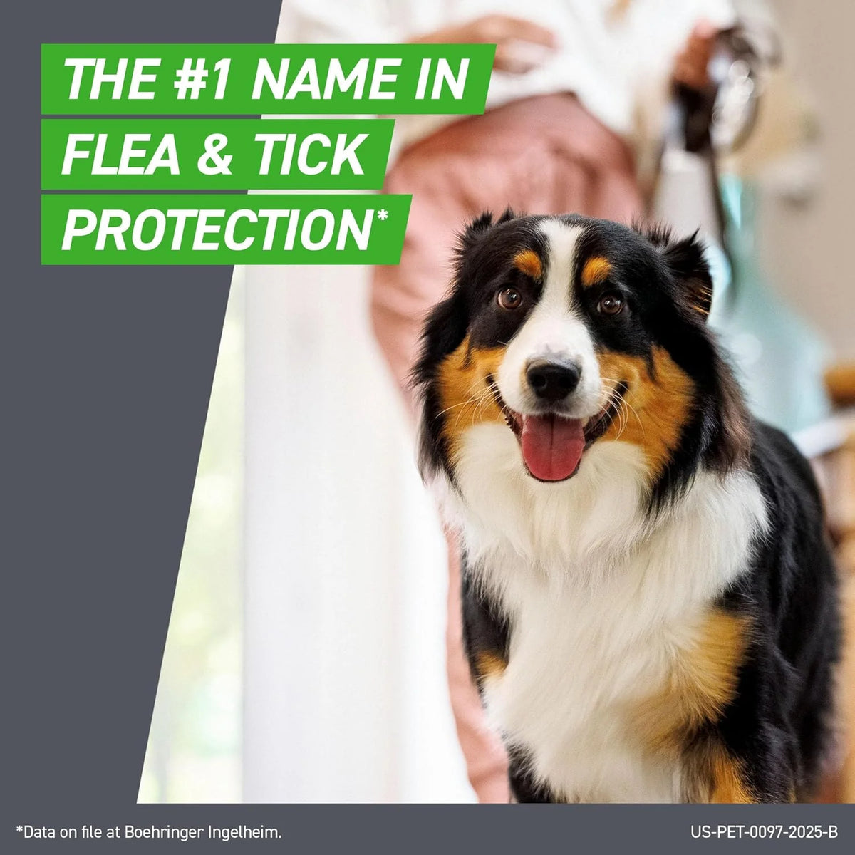 Frontline Plus for Small Dogs 5-22 lbs – Flea & Tick Treatment