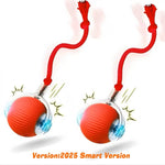360 Smart Self Rolling Pet Ball – Automatic Interactive Toy for Dogs and Cats