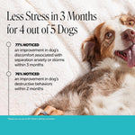 Pet Honesty Calming Chews for Dogs — 90 Soft Chews