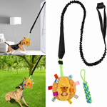 Interactive Dog Tug Toy with Door Anchor