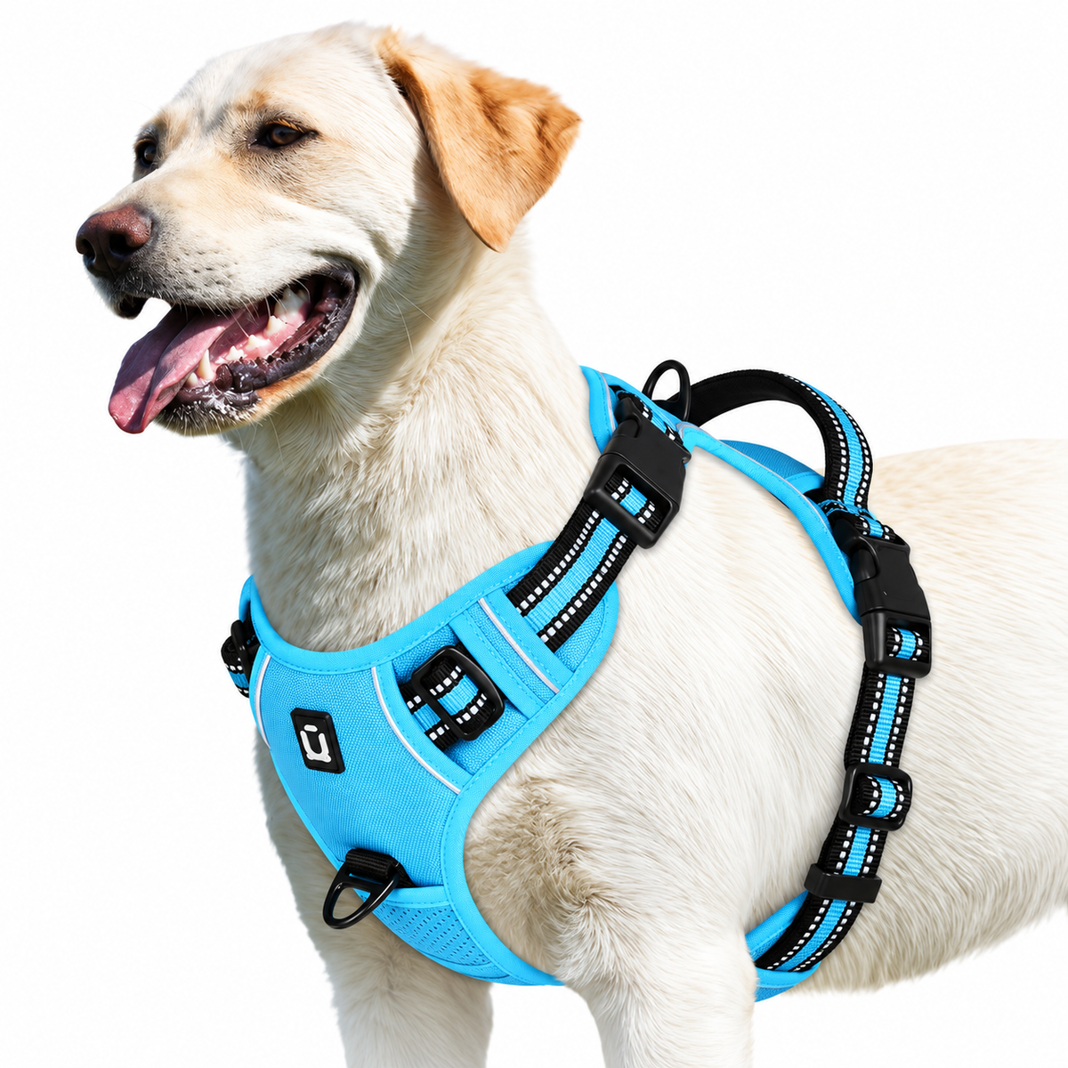 No pull dog harness in sky blue