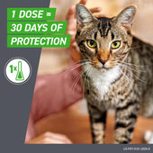 Frontline Plus for Cats & Kittens – Flea & Tick Treatment