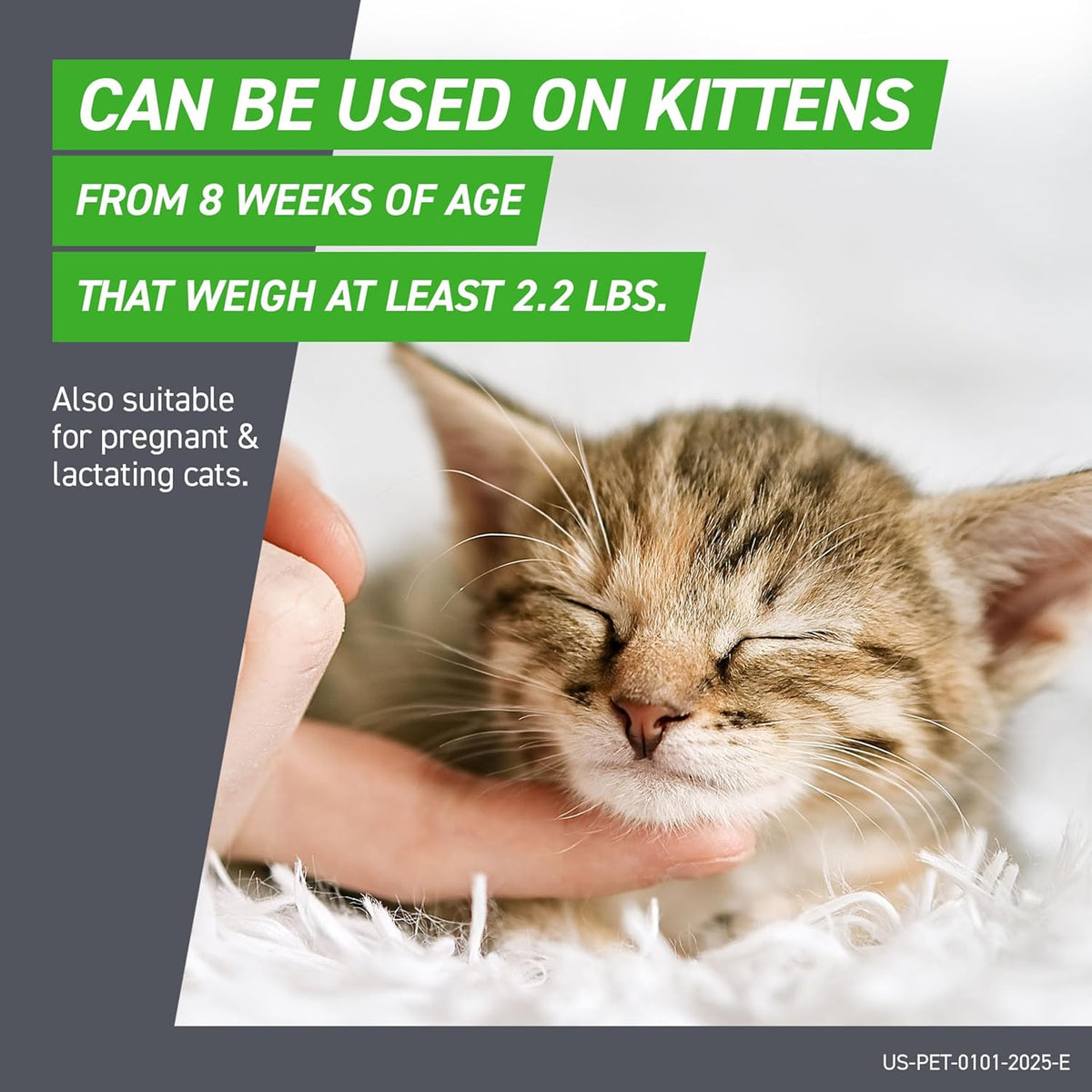 Frontline Plus for Cats & Kittens – Flea & Tick Treatment