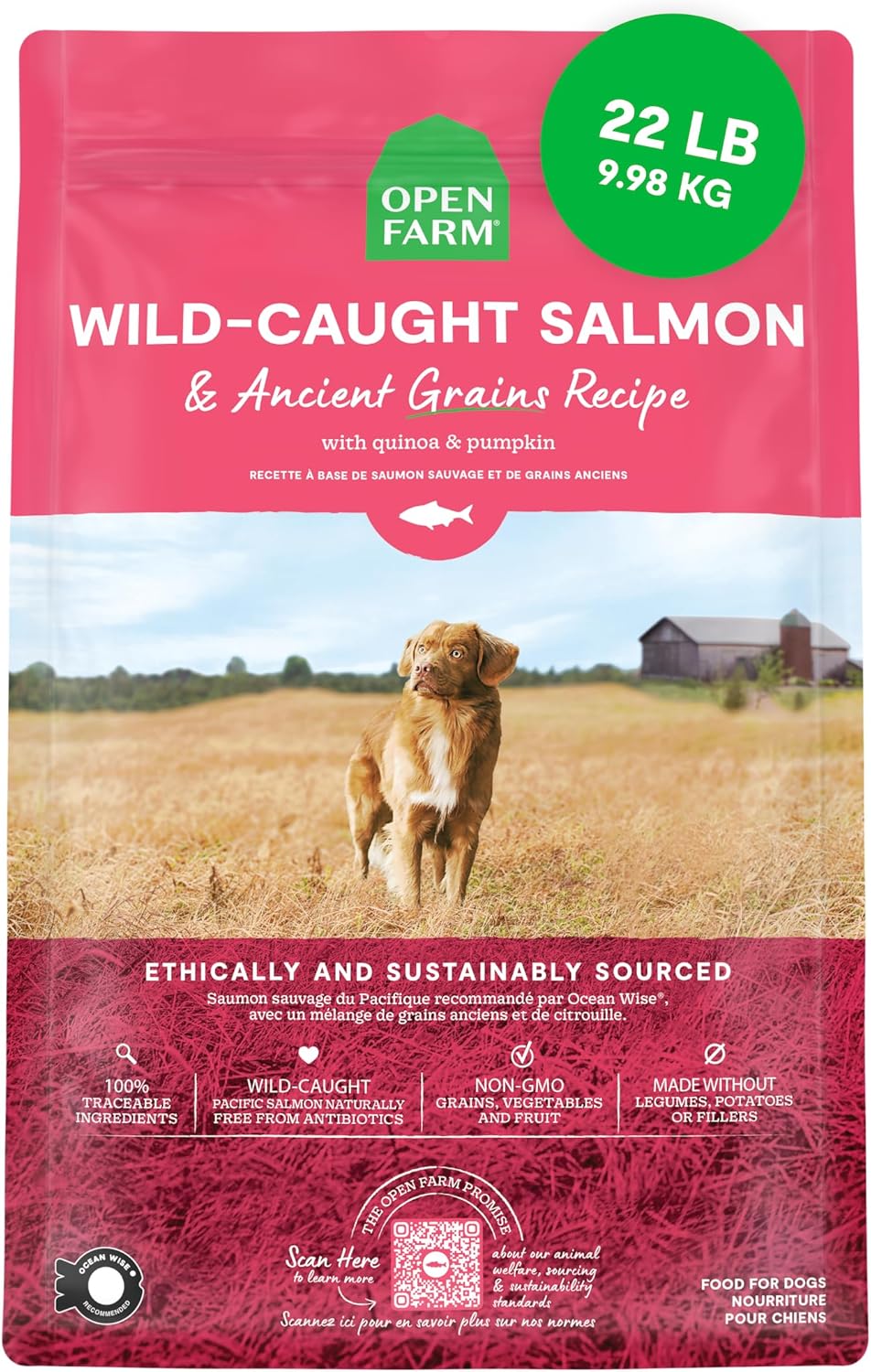 Open Farm Wild-Caught Salmon & Ancient Grains Dry Dog Food, 4 lb