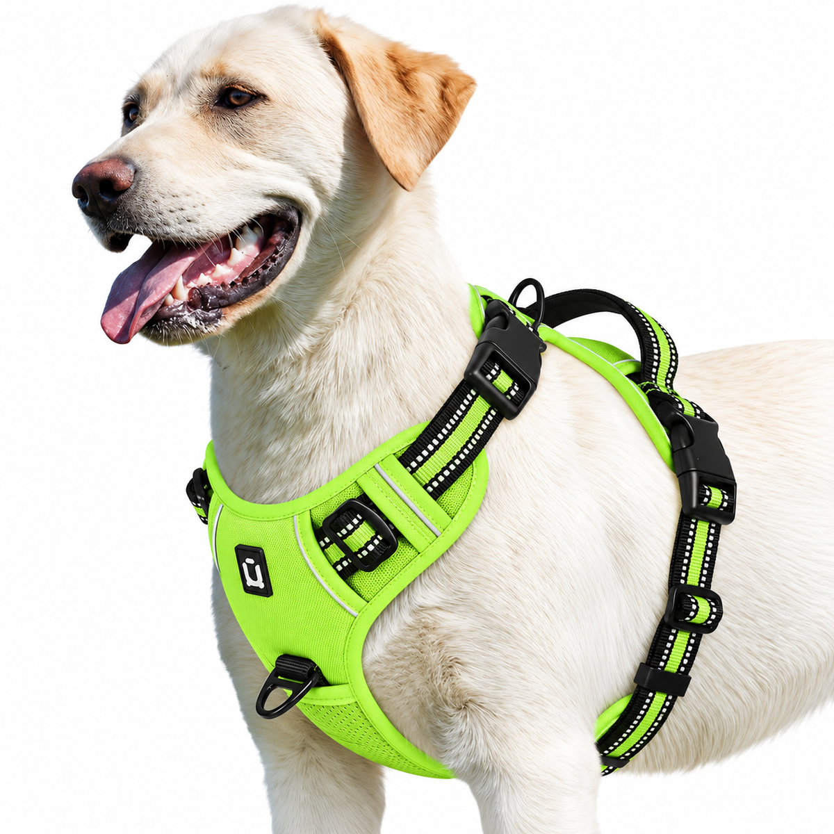 No pull dog harness in light green