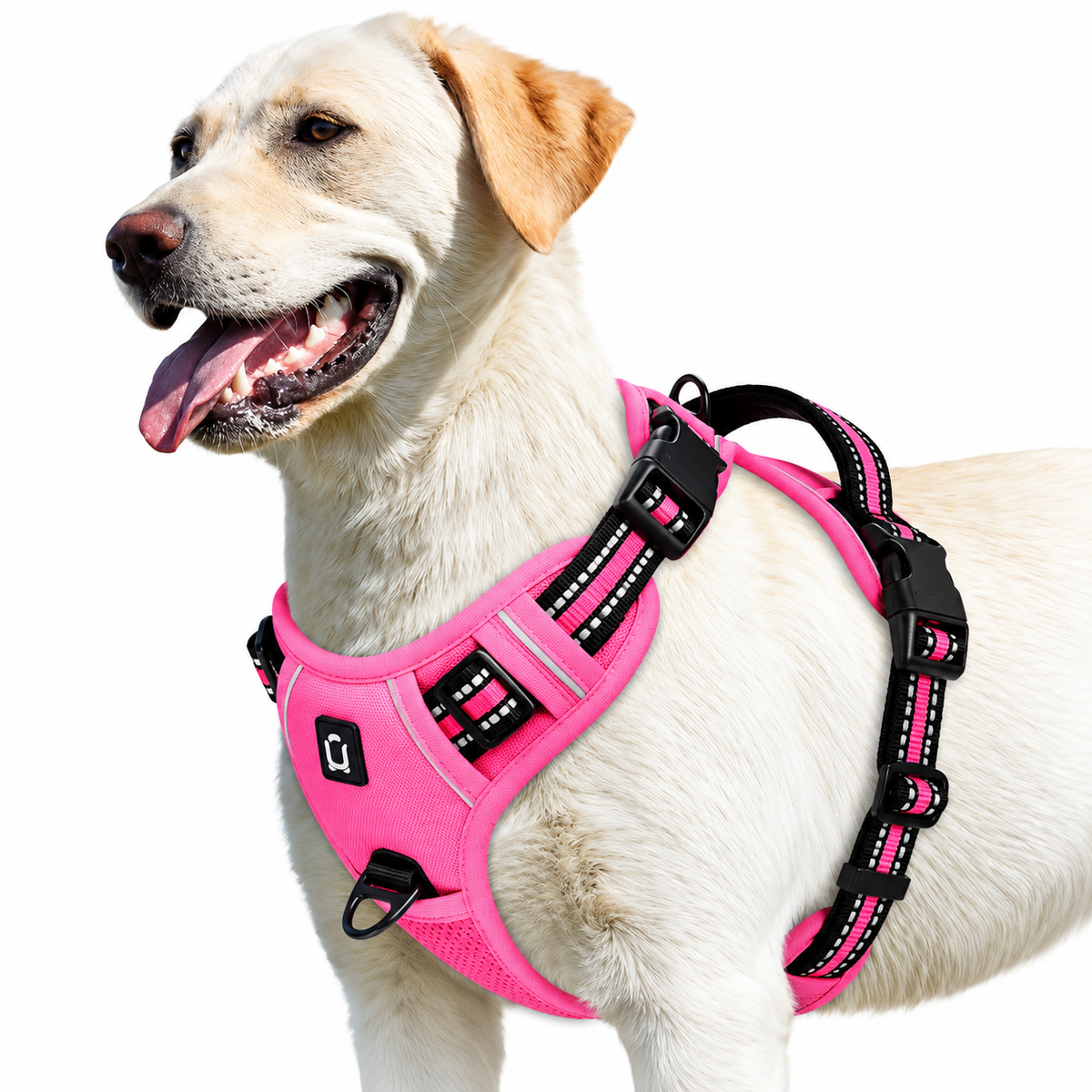 No pull dog harness in pink