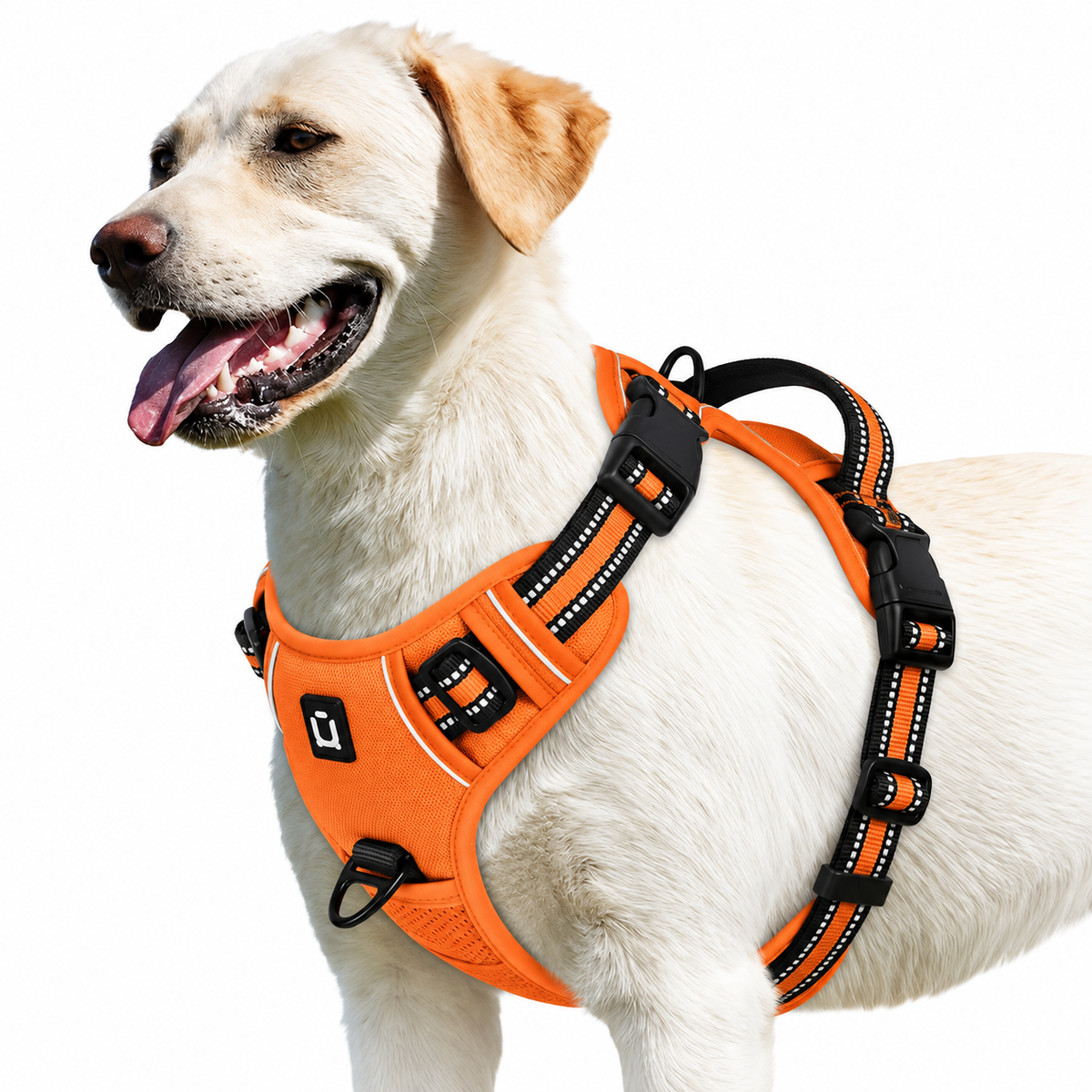 No pull dog harness in orange