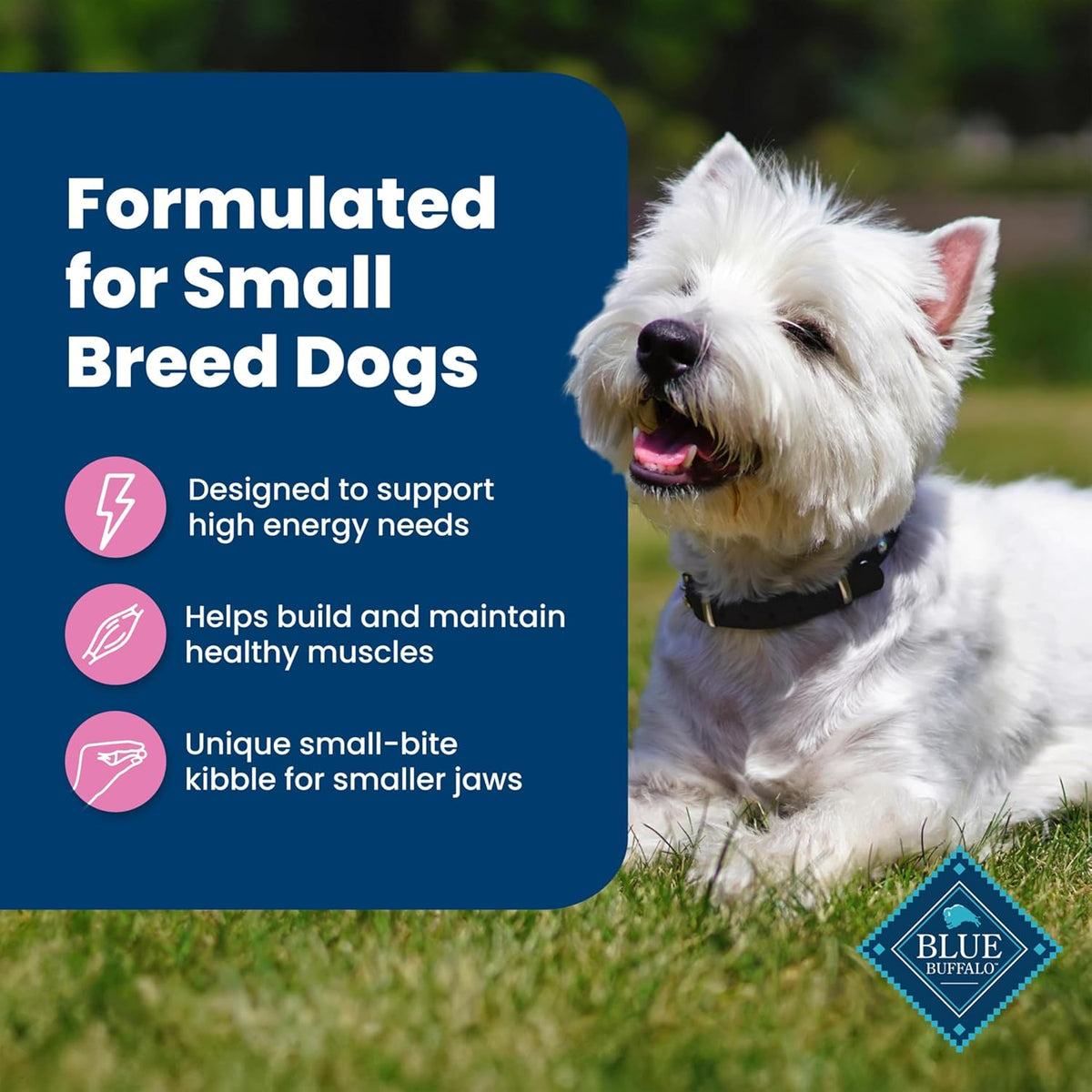 Blue Buffalo Life Protection chicken and rice dry dog food, image 11 of 12