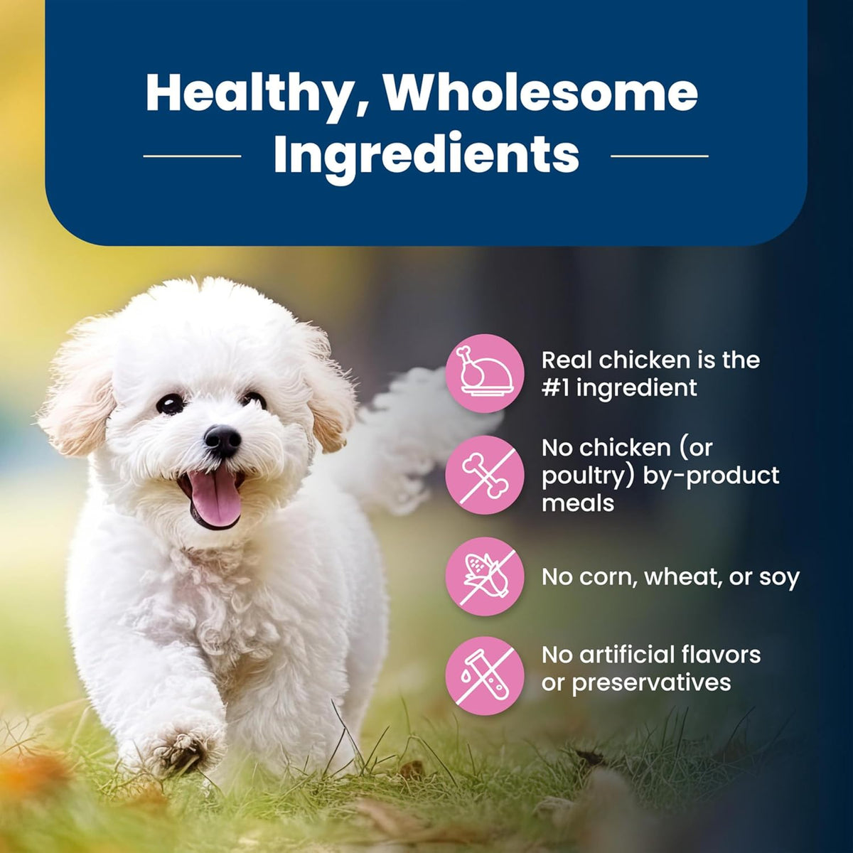 Blue Buffalo Life Protection chicken and rice dry dog food, image 9 of 12