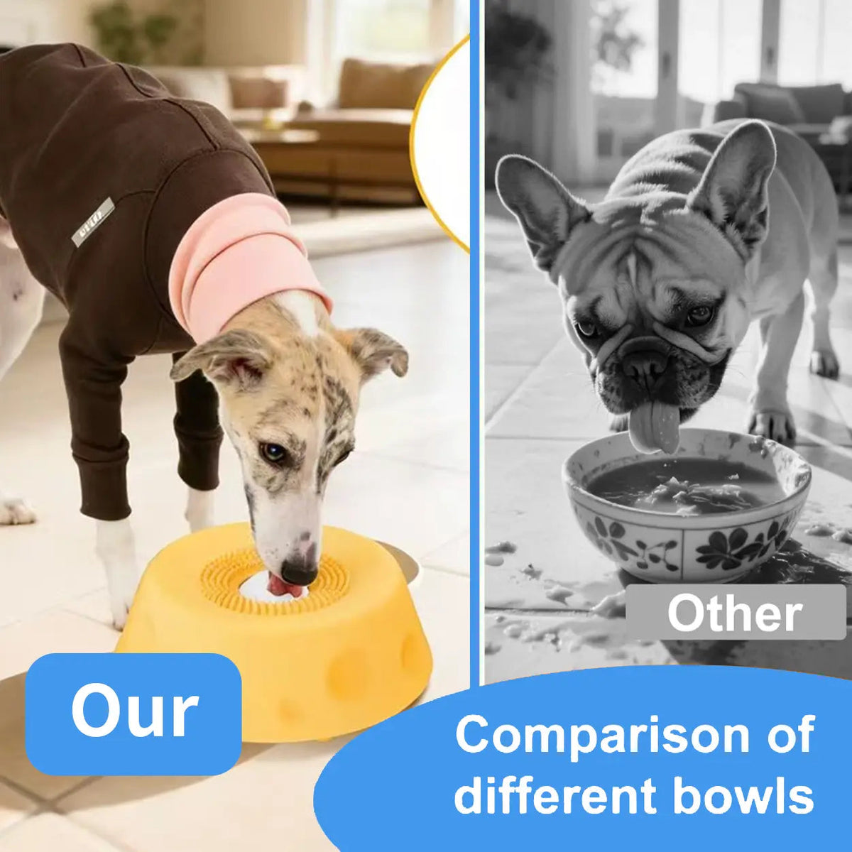 Dog slow feeder bowl with rolling ball and lick bowl, image 9 of 13