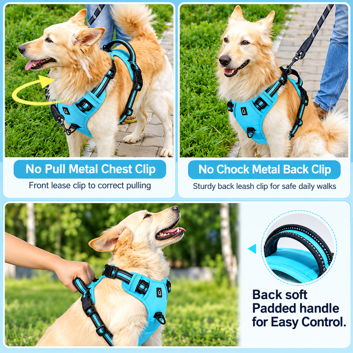 No pull metal chest clip, back leash clip and soft padded handle shown in use on a dog