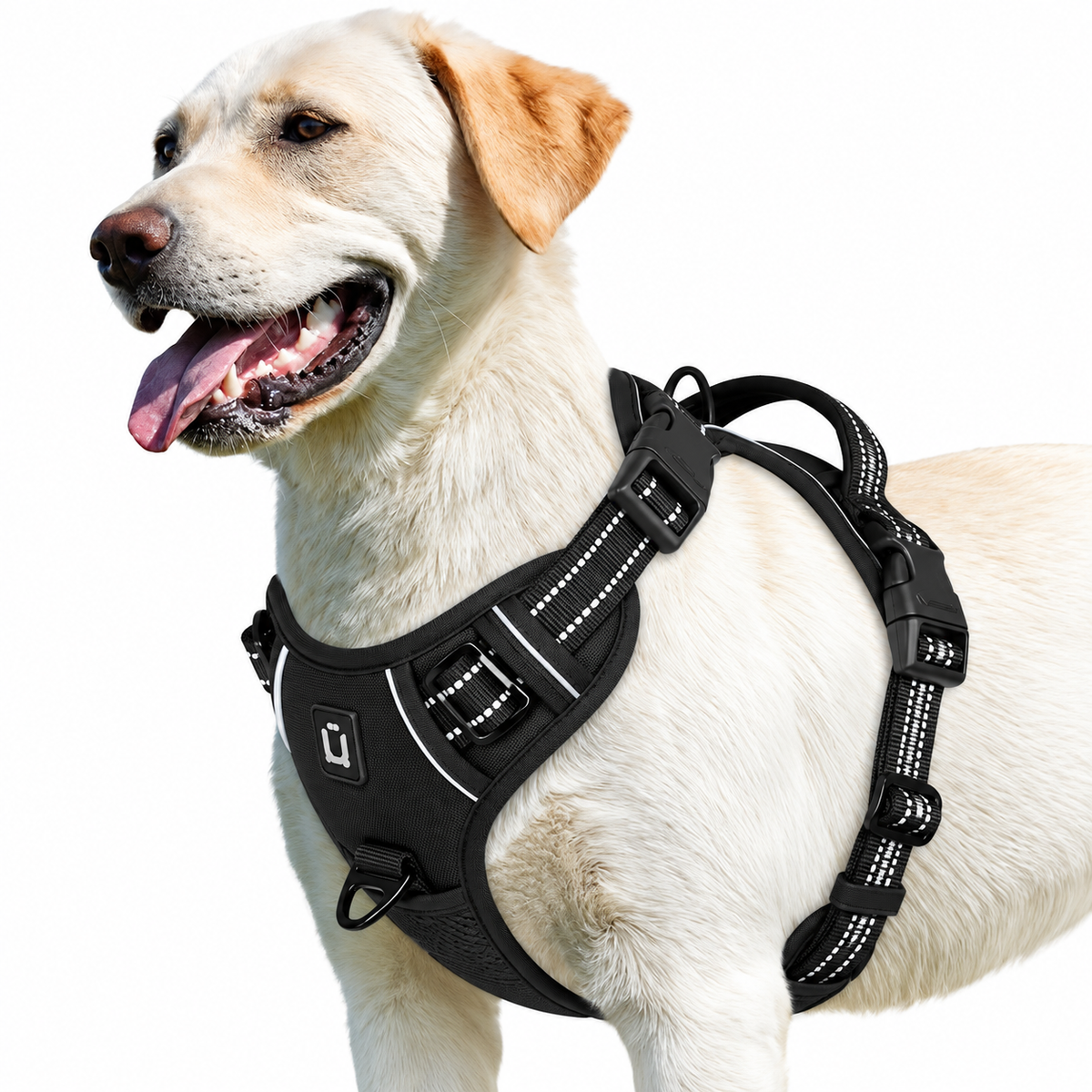 No pull dog harness in black