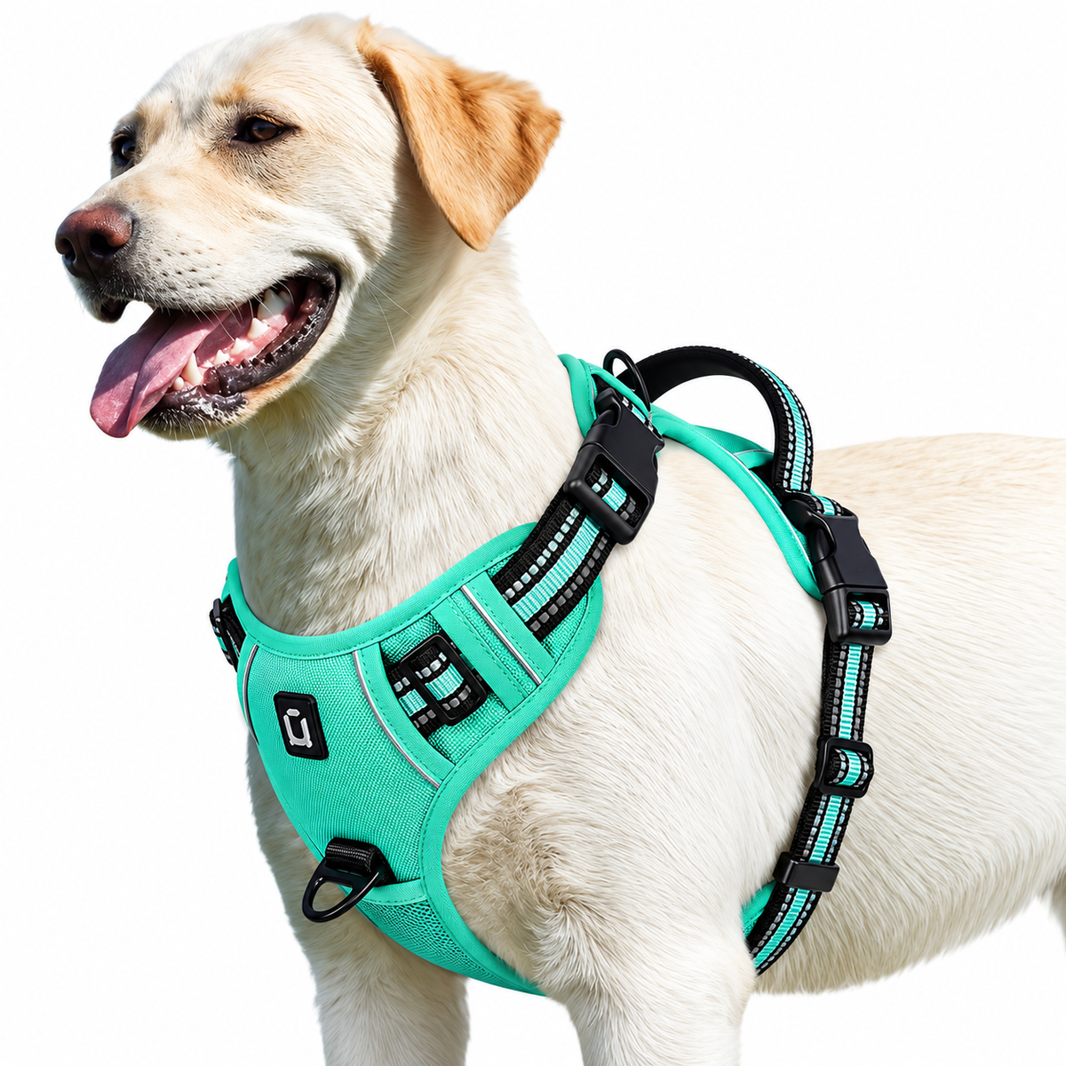 No pull dog harness in green