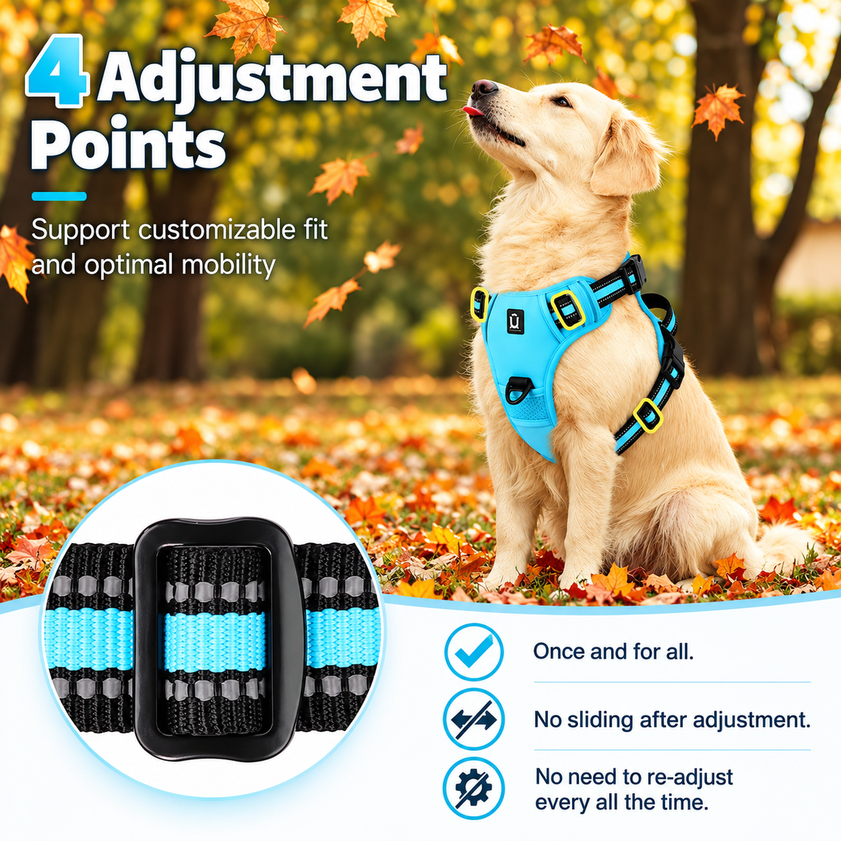 No pull dog harness with 4 adjustment points and non-slip slide buckles on a golden retriever