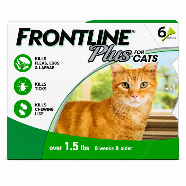 Frontline Plus flea and tick treatment for cats and kittens box