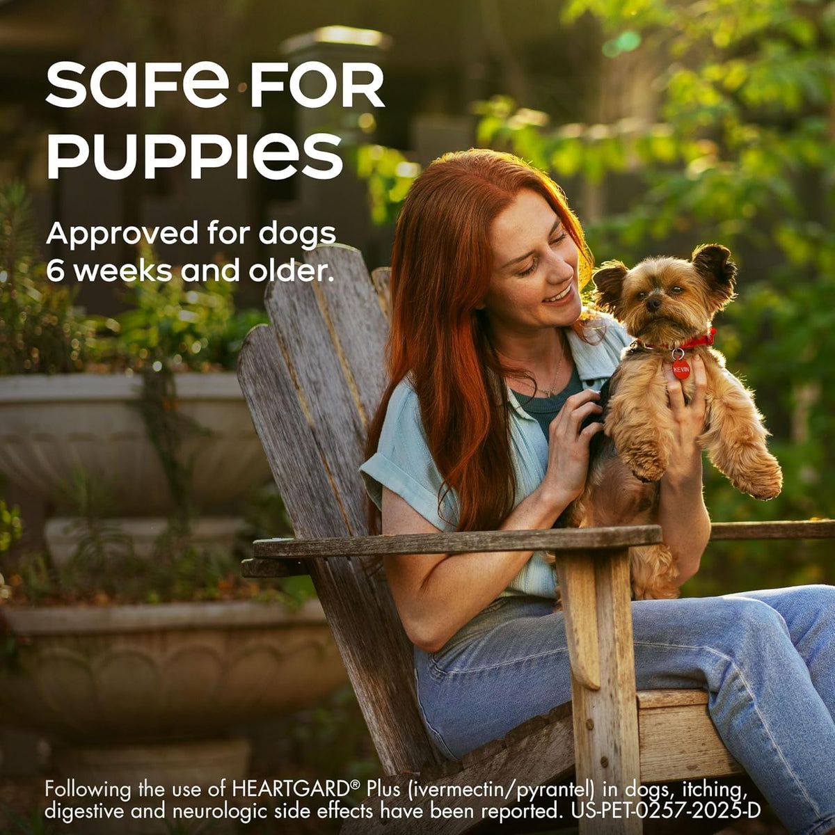 Heartgard Plus chewables for dogs 0-25 lbs, image 6 of 10