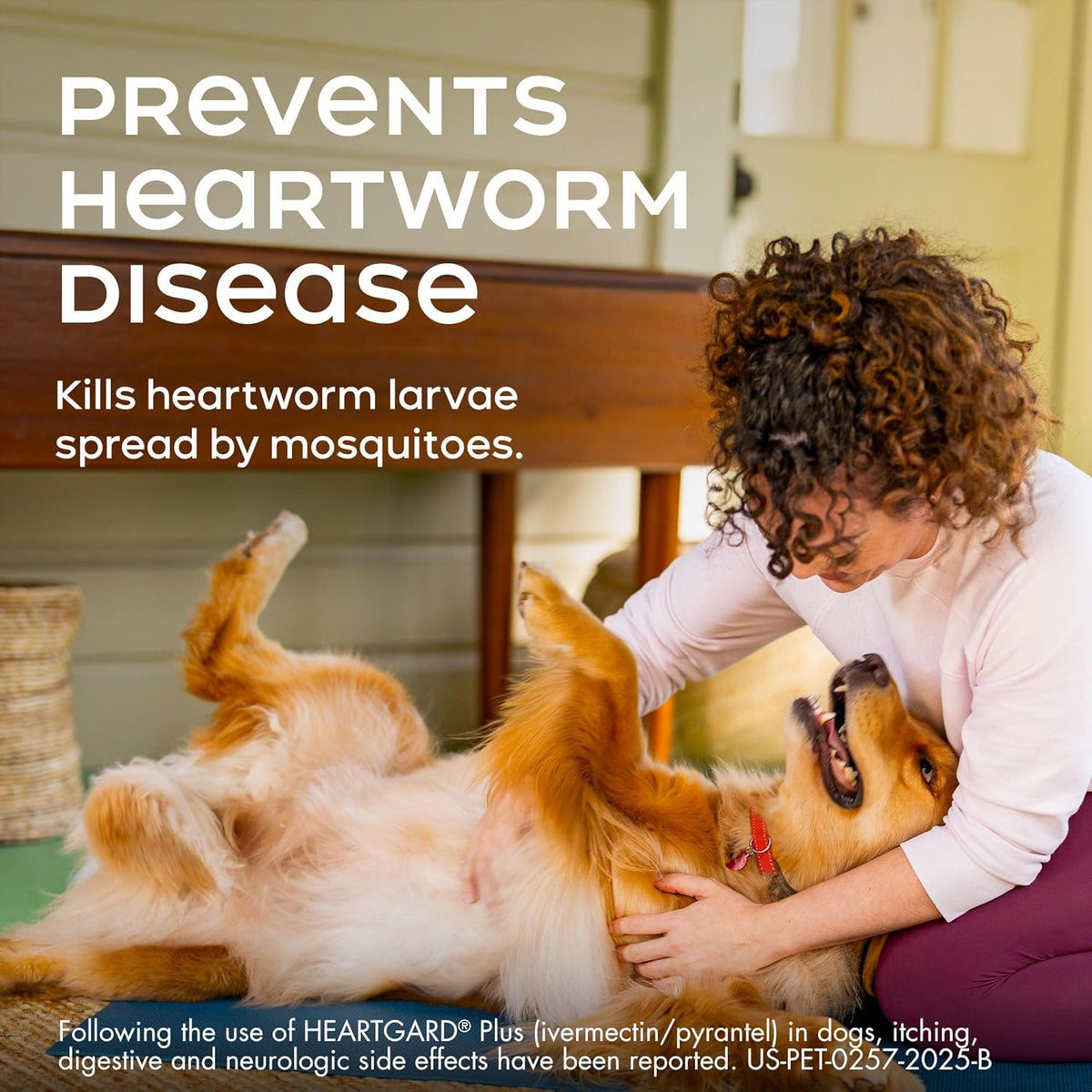 Heartgard Plus chewables for dogs 0-25 lbs, image 8 of 10
