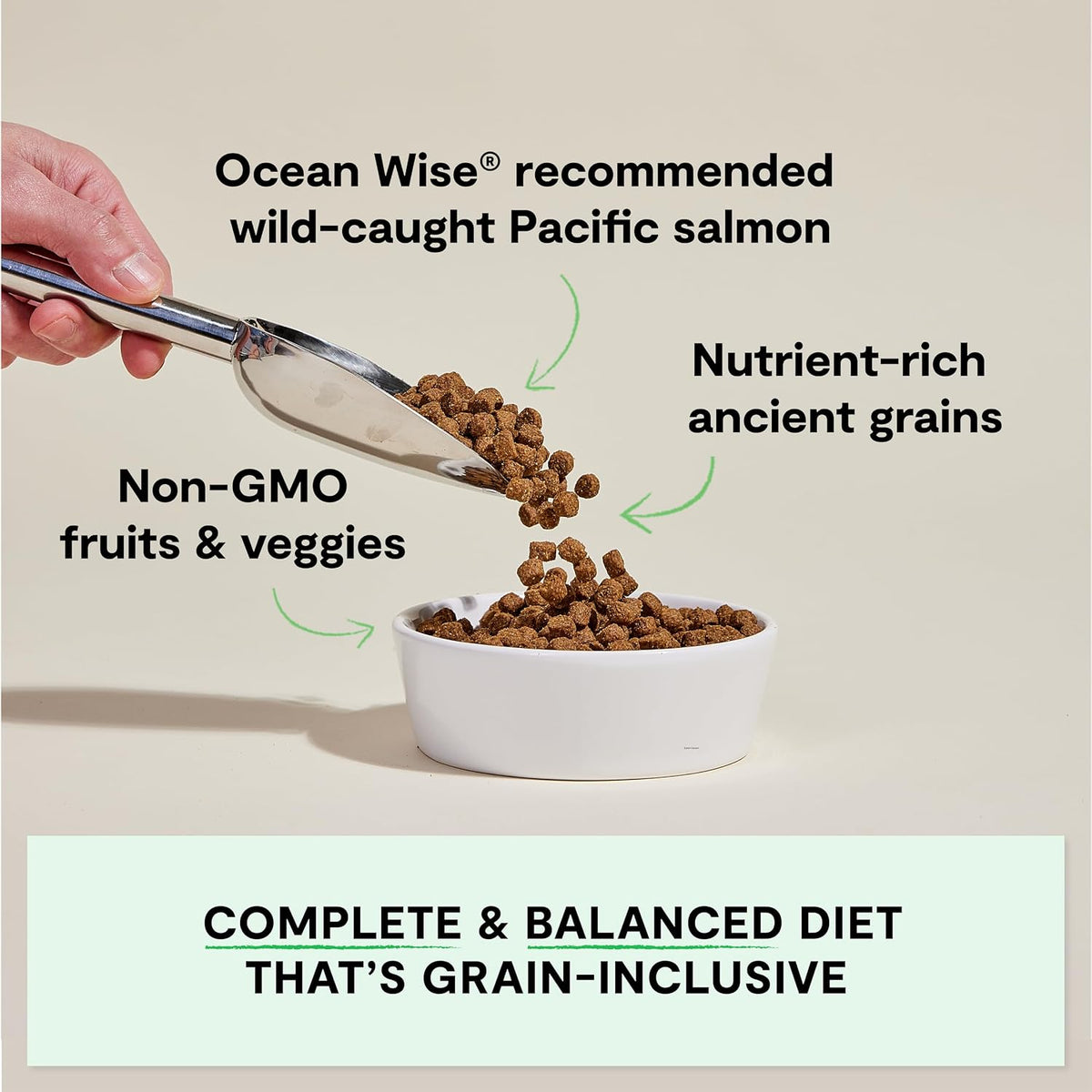 Open Farm wild-caught salmon and ancient grains dry dog food, 4 lb, image 8 of 8