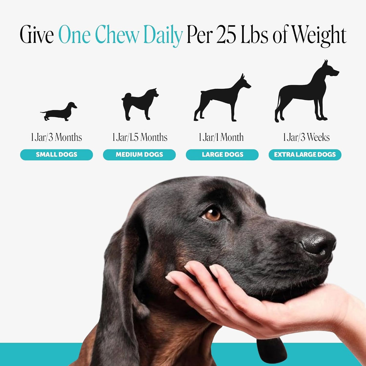 Pet Honesty calming chews for dogs, 90 soft chews, image 7 of 10