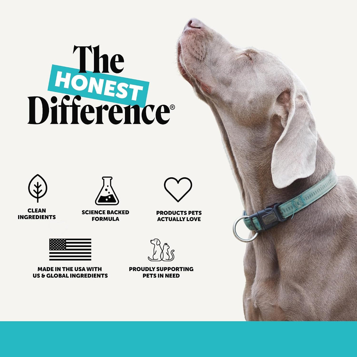 Pet Honesty calming chews for dogs, 90 soft chews, image 8 of 10