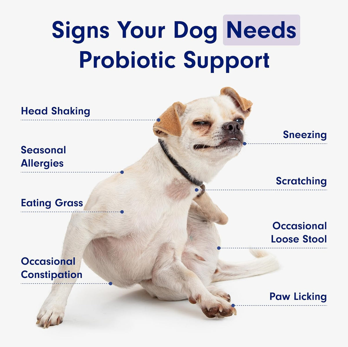 PetLab Co. Probiotic Chew+ for dogs, pork flavor, 30 chews, image 7 of 10