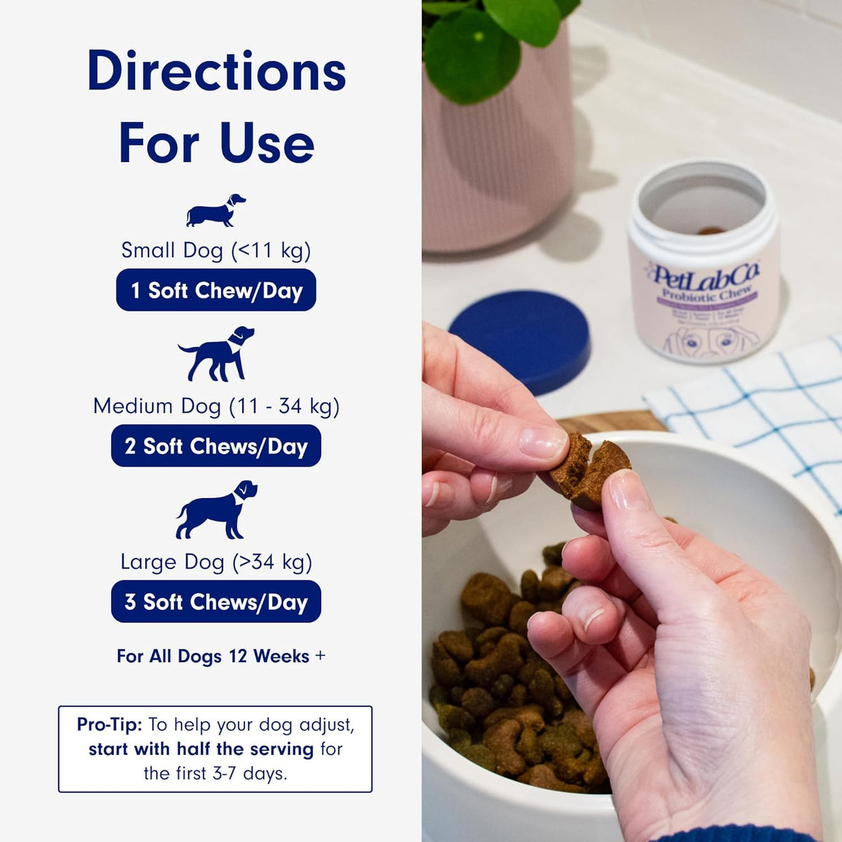 PetLab Co. Probiotic Chew+ for dogs, pork flavor, 30 chews, image 9 of 10