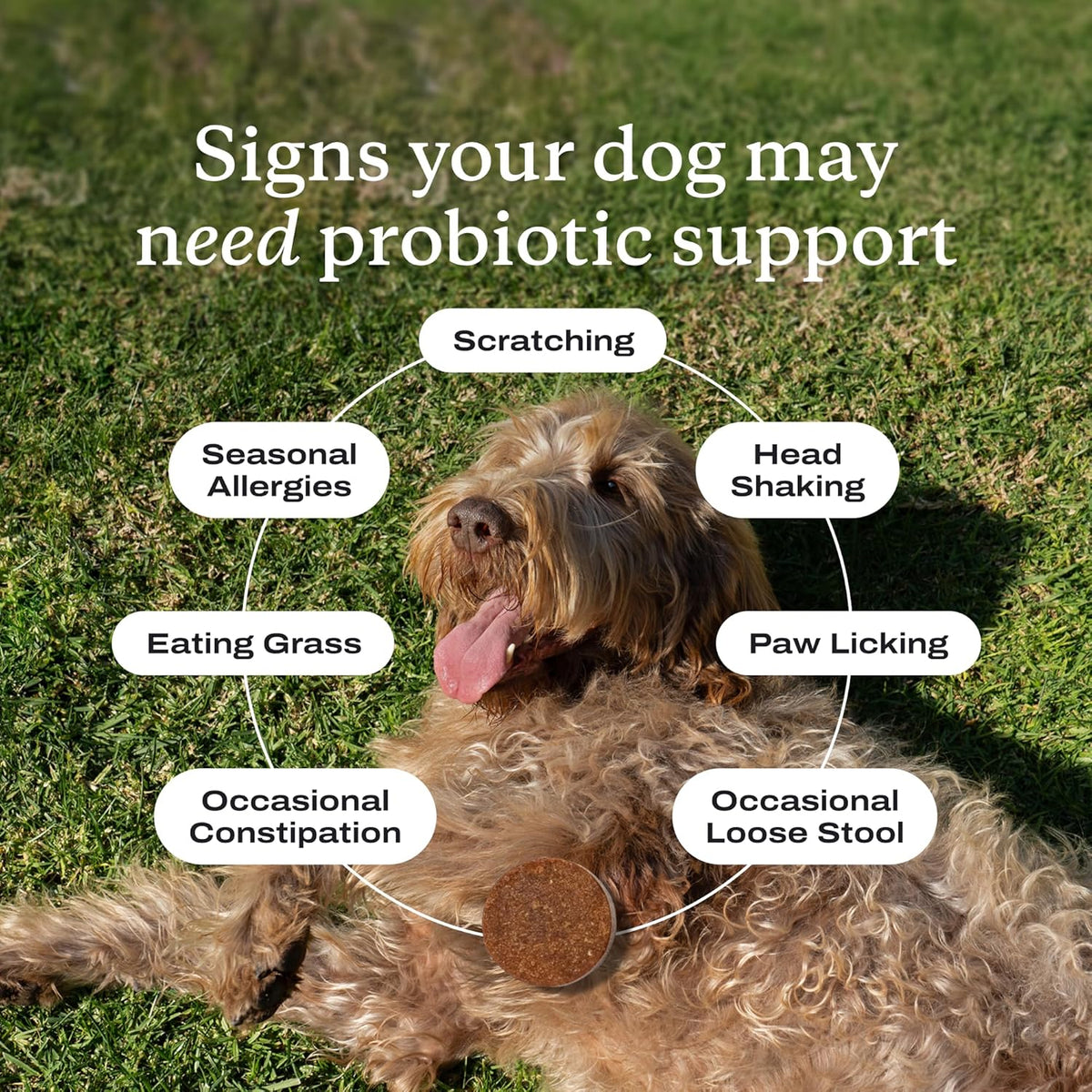 PetLab Co. probiotic chews for dogs, 30 count, image 6 of 8