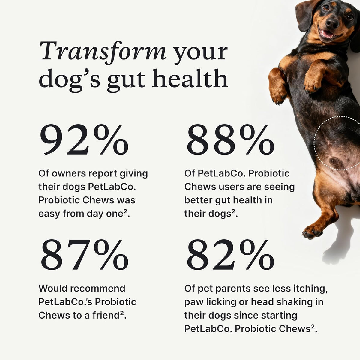 PetLab Co. probiotic chews for dogs, 30 count, image 7 of 8