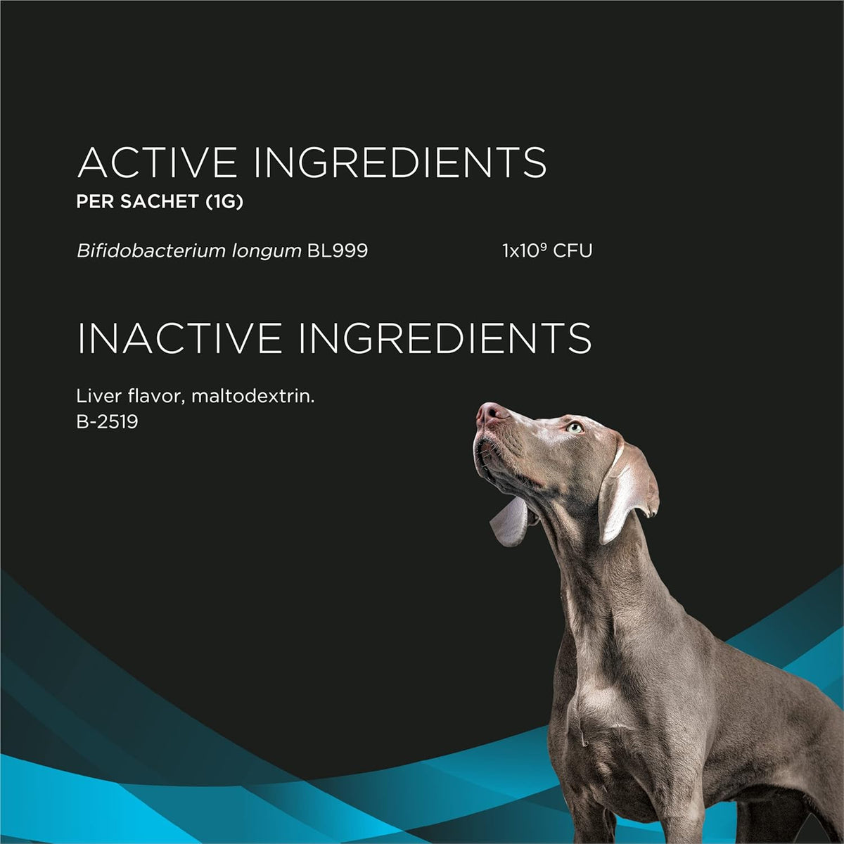 Purina Pro Plan Calming Care dog probiotic supplement, 30 sachets, image 5 of 11