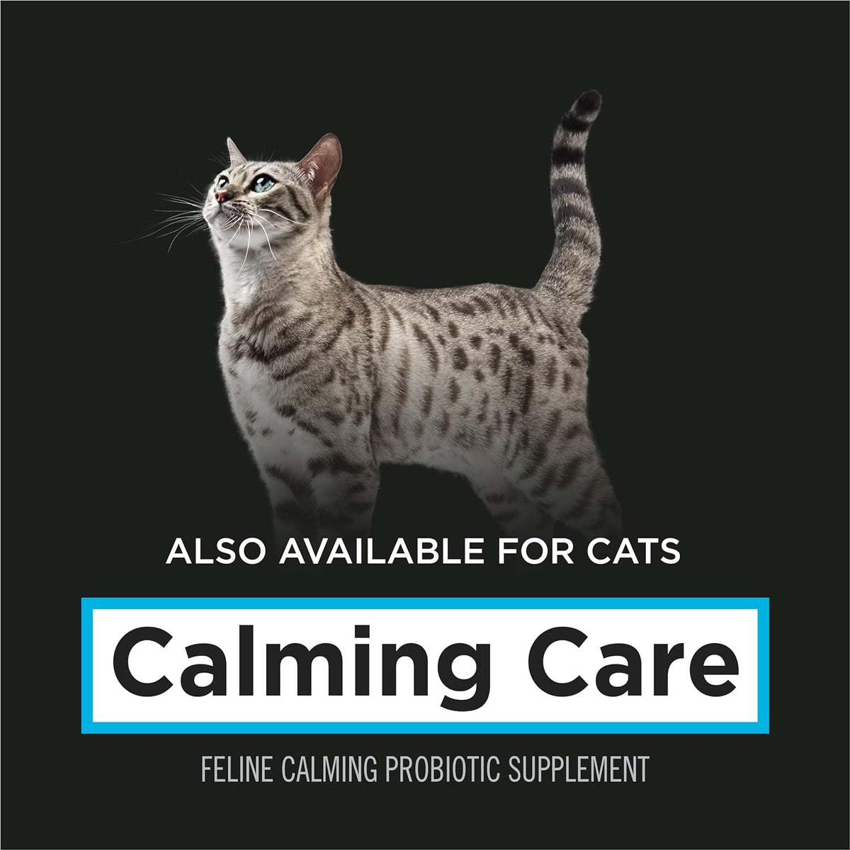 Purina Pro Plan Calming Care dog probiotic supplement, 30 sachets, image 8 of 11