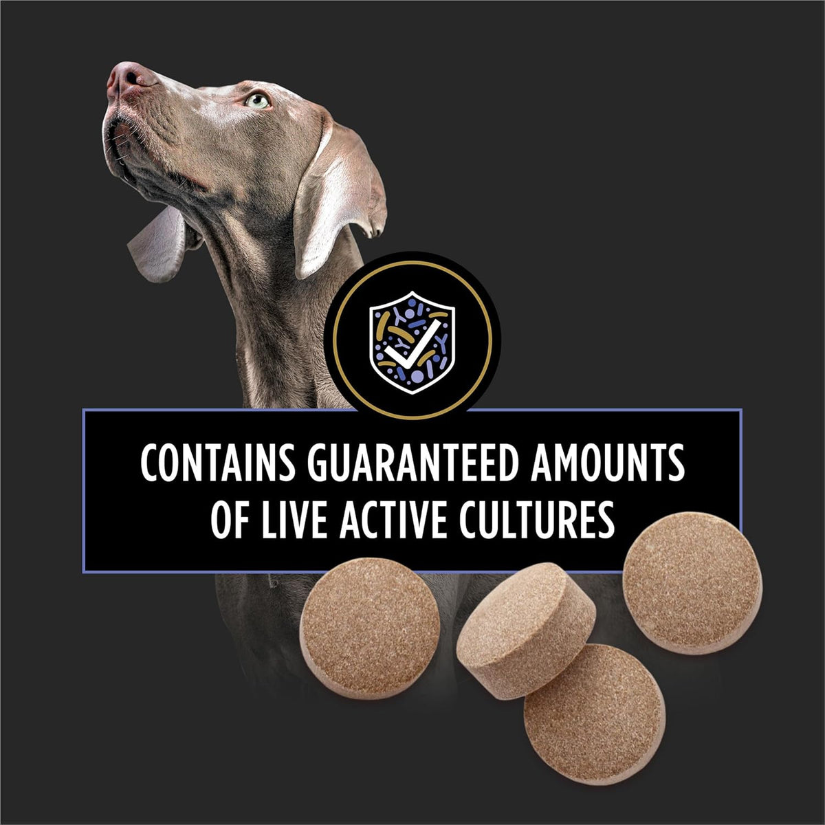 Purina Pro Plan FortiFlora chewable dog probiotic, image 4 of 11