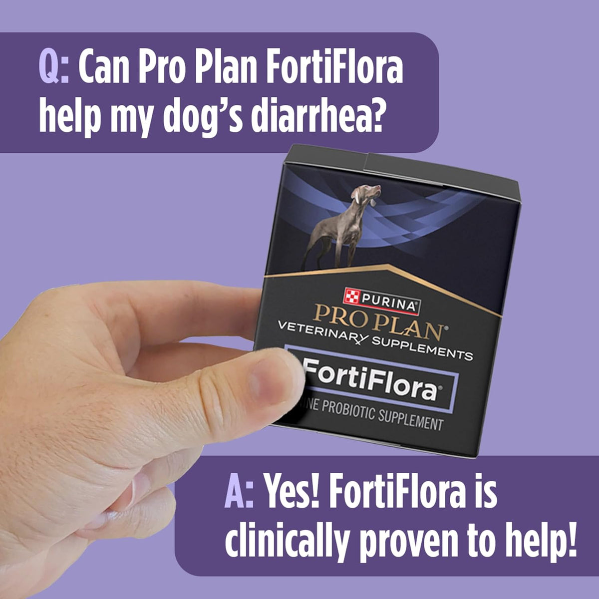 Purina Pro Plan FortiFlora dog probiotic, 30 sachets, image 5 of 10