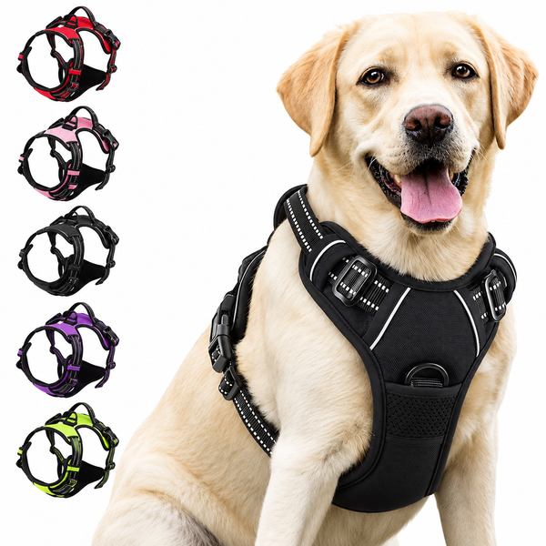 Reflective no pull dog harness in black on a Labrador, with the colour options