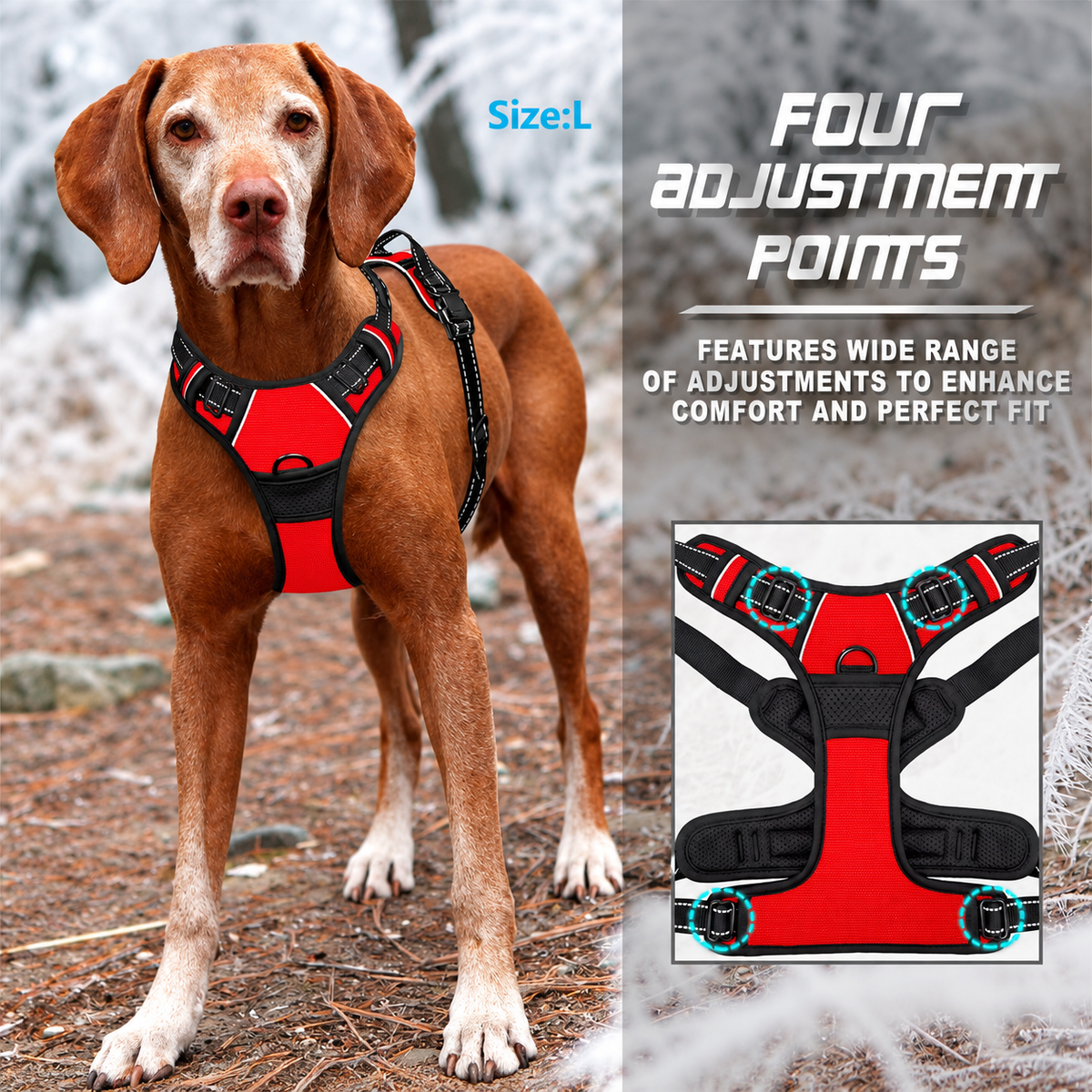 Reflective no pull dog harness with four adjustment points, shown on a Vizsla