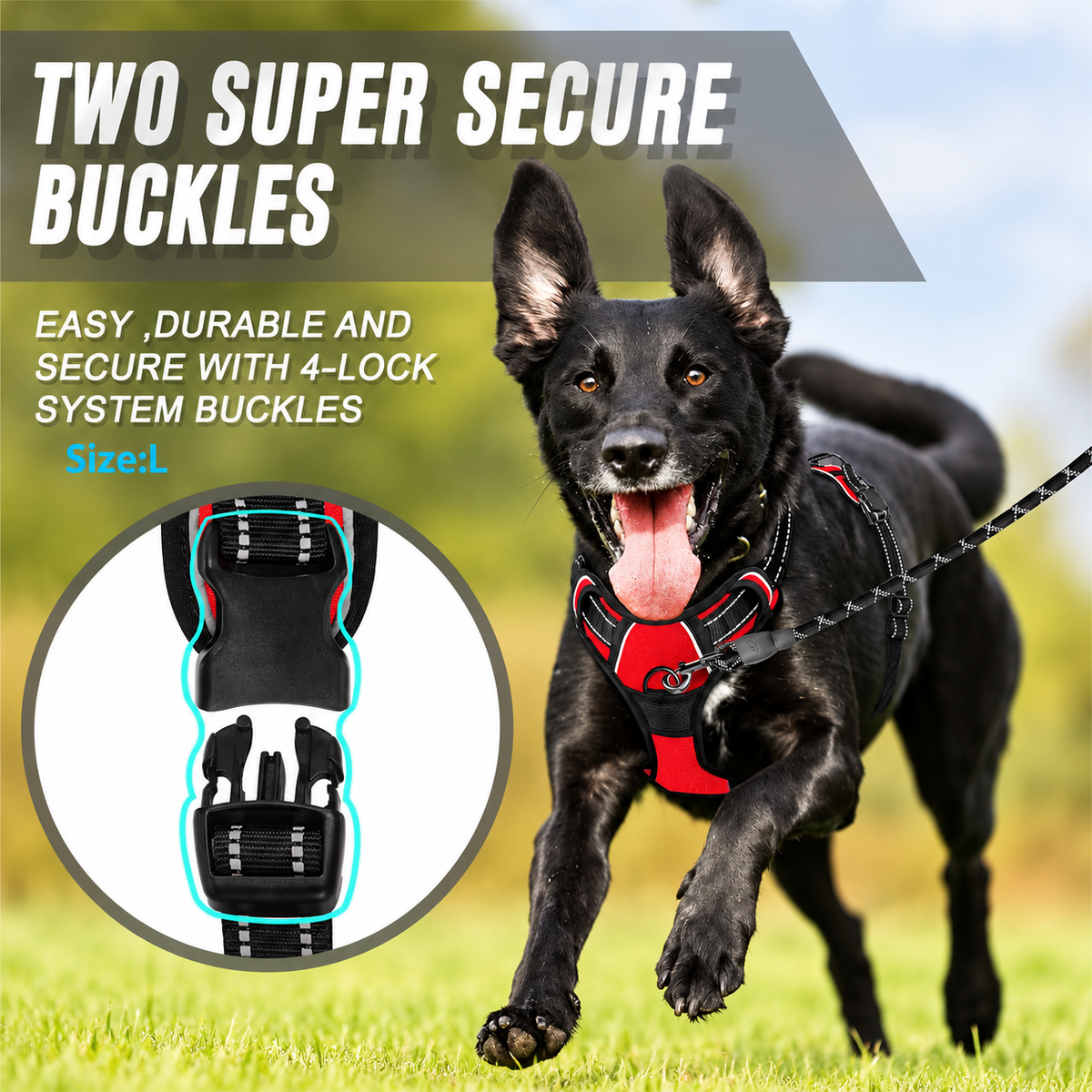 Reflective no pull dog harness with two secure lock buckles, shown on a running dog