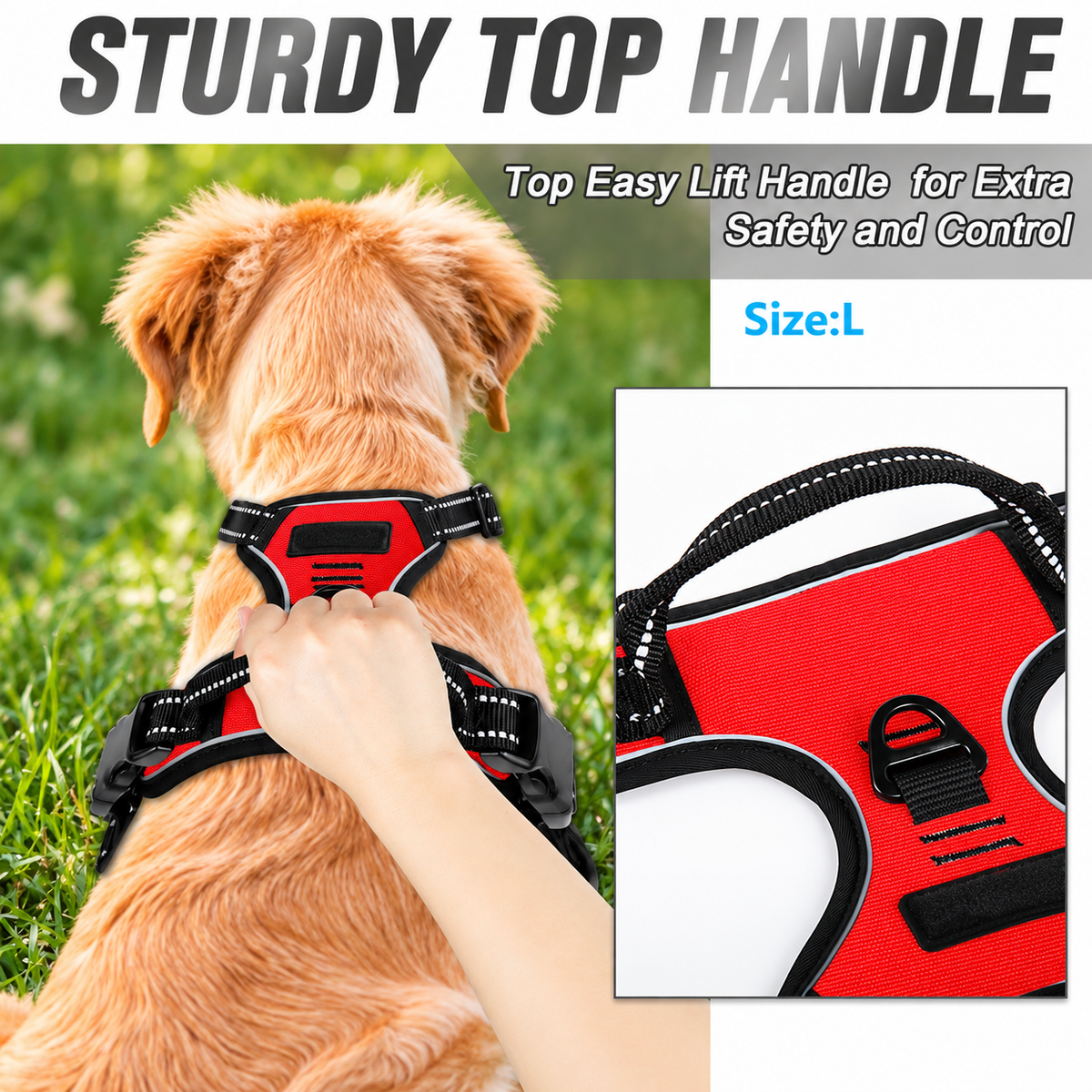 Reflective no pull dog harness top lift handle held on a golden retriever