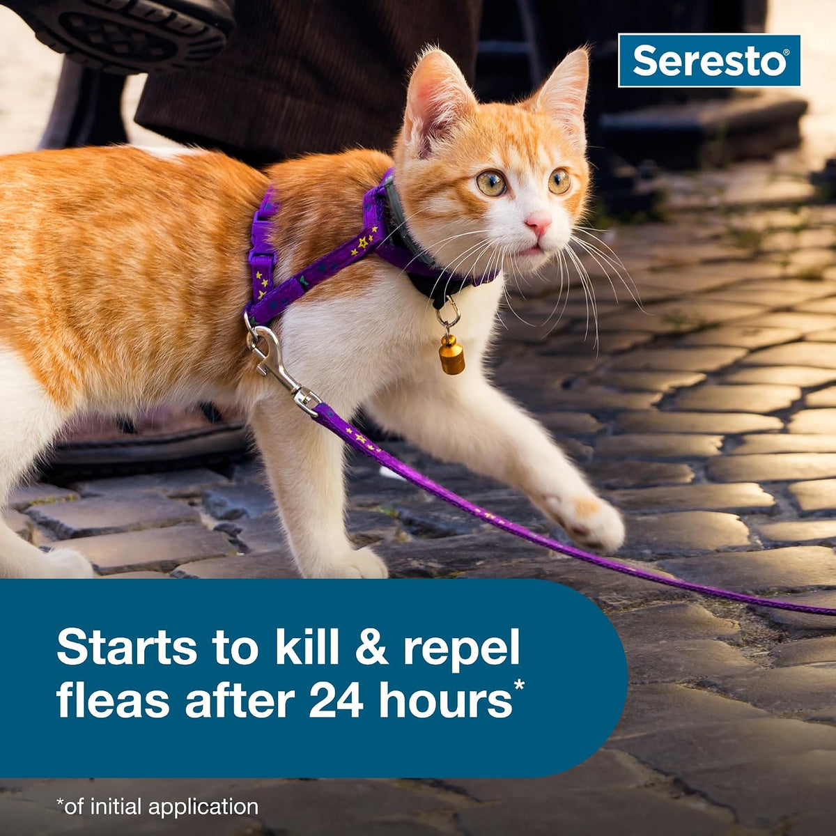 Seresto flea and tick collar for cats, 8 months protection, image 3 of 8