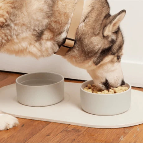 Spot & Tango unKibble fresh dog food, image 5 of 15