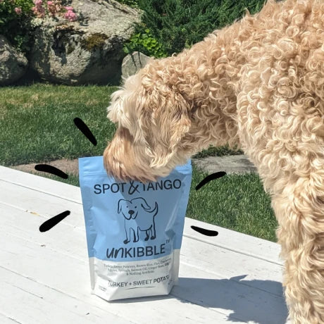 Spot & Tango unKibble fresh dog food, image 7 of 15