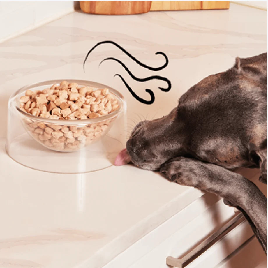Spot & Tango unKibble fresh dog food, image 9 of 15