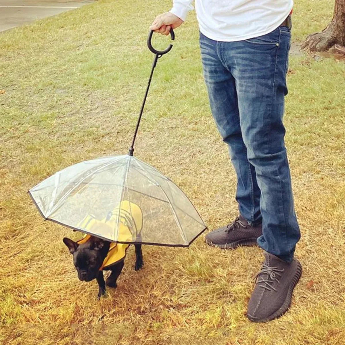 Windproof dog umbrella for walks, image 4 of 5